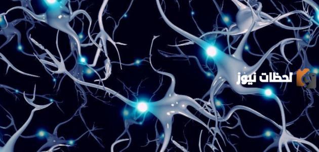 مرض ms وعلاجه وأهم المعلومات عنه وطرق الوقاية منه