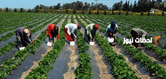 مقومات التنمية الزراعية وأبرز أساليبها