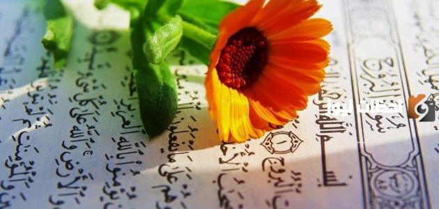 موضوعات وأهداف ومقاصد سورة البروج