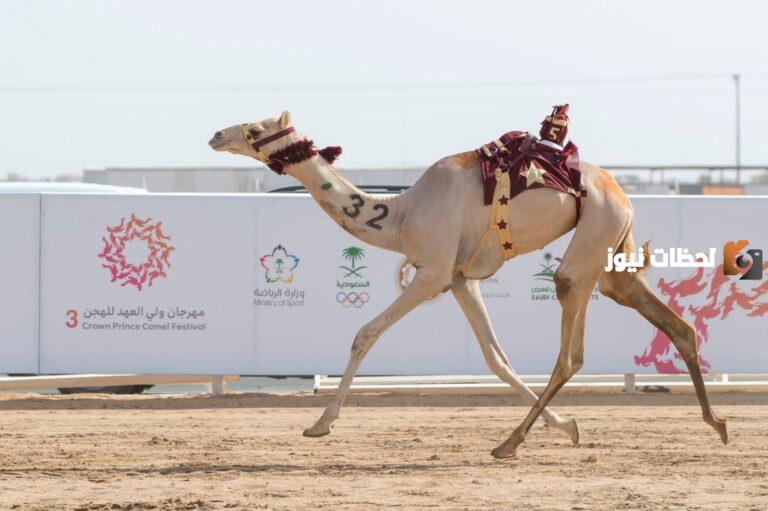موعد اطلاق مهرجان الطائف لأول مرة في السعودية 1447 وفعاليات المهرجان