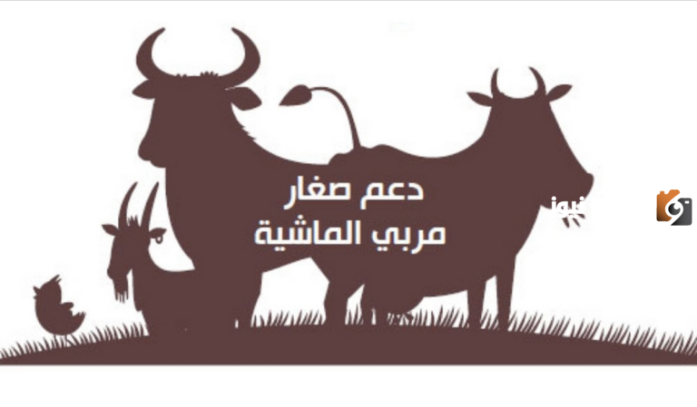 دعم ريف يوضح | هل يمكن لغير المؤهلين في دعم المواشي إعادة تقديم طلب الحصول على الدعم؟ الرد بالتفصيل