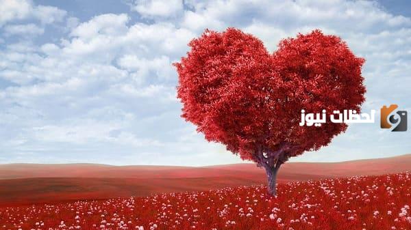 68+ أقوال وحكم الفلاسفة في الحب