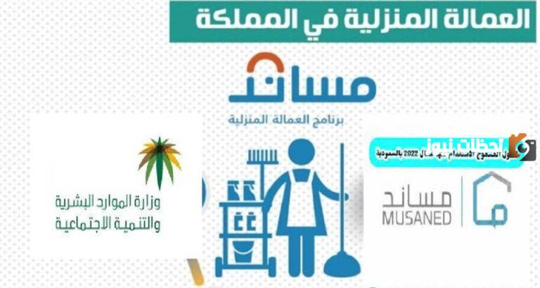 شروط استقدام العاملة المنزلية في السعودية والجنسيات المسموح باستقدامها | وزارة الموارد البشرية توضح التفاصيل كاملة