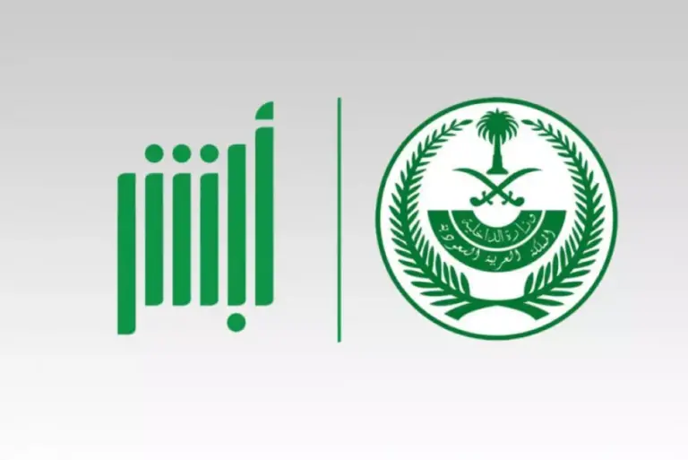 برقم الجواز | الاستعلام عن جواز السفر إلكترونيًا والأوراق المطلوبة للحصول عليه