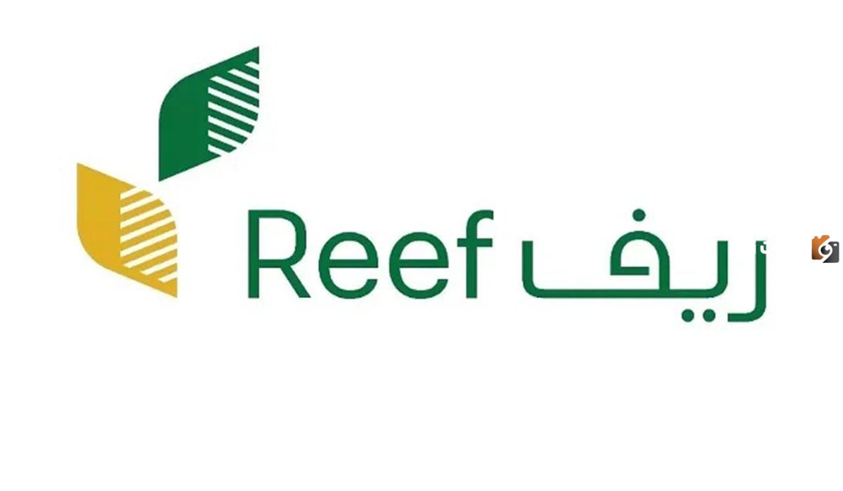 رابط وخطوات التسجيل في دعم ريف للعاطلين عن العمل 1447 وشروط الحصول على الدعم إلكترونيًا
