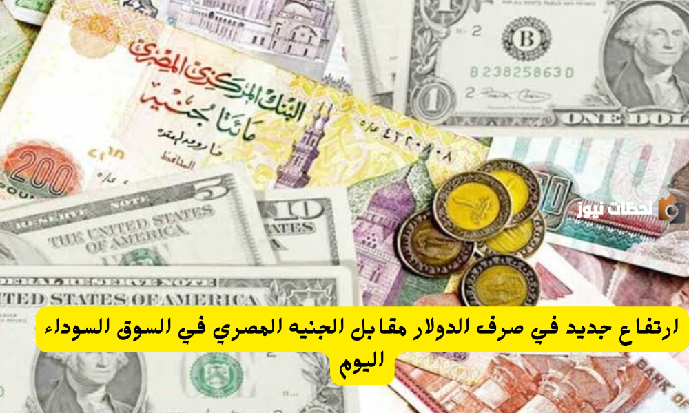 الدولار الأمريكي يسجل ارتفاع جديد