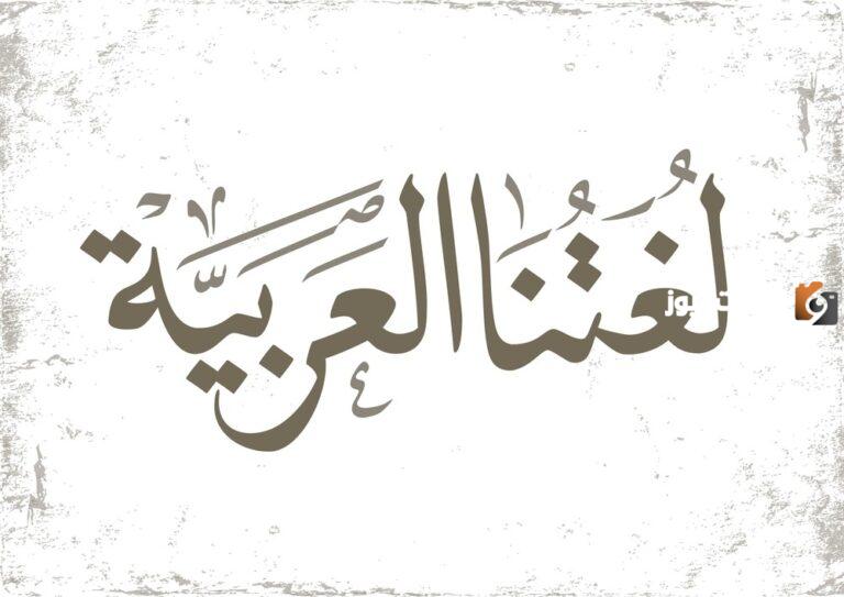 إليك شرح المفرد والمثنى والجمع للأطفال