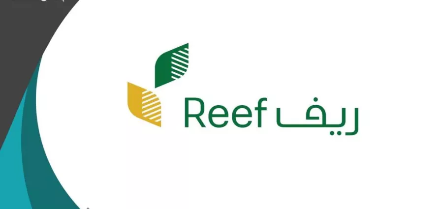 دفعة مستقبلية للأسر المنتجة | رابط وطريقة التسجيل في برنامج ريف 1447 والشروط المطلوبة