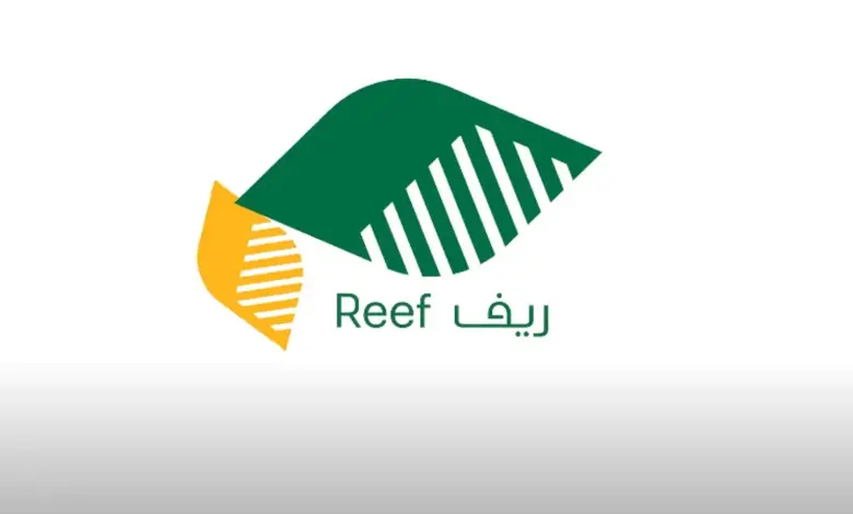 عبر رابط ريف الرسمي | رابط الاستعلام عن دعم ريف الرسمي بعد التحديث 1447 ومتطلبات الحصول على الدعم