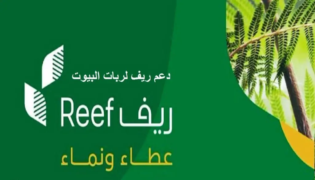 دعم ريف لربات البيوت