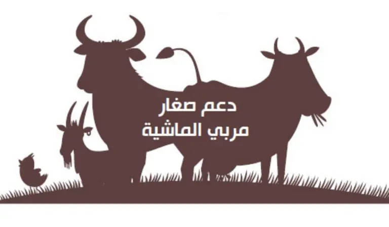 خطوات الاستعلام عن دعم مربي المواشي وشروط الاستحقاق 1447 الأوراق المطلوبة للحصول على الدعم