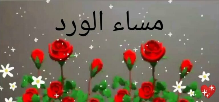 إليك باقة من رسائل مسائية للحبيب قصيرة وعبارات مسائية جميلة للاصدقاء