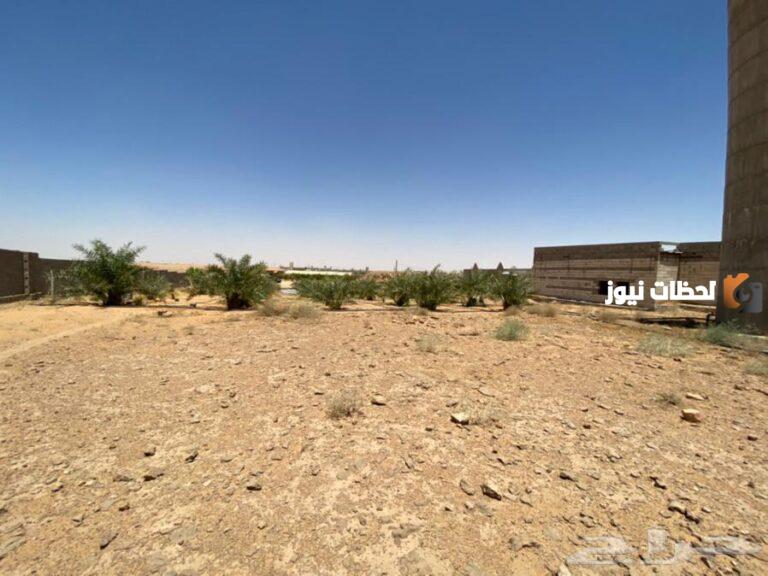 بنسبة 36%!! انخفاض ملموس في متوسط سعر المتر في أراضي جازان الصحراوية
