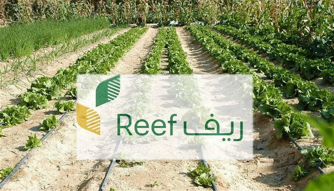 شروط الحصول على دعم ريف