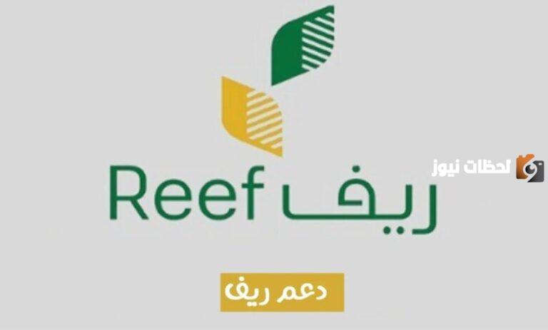 طريقة التسجيل في دعم ريف للمتقاعدين 1447 وشروط التسجبل في الدعم والأوراق المطلوبة للتقديم | ما هي الفئات المستفيدة من الدعم؟