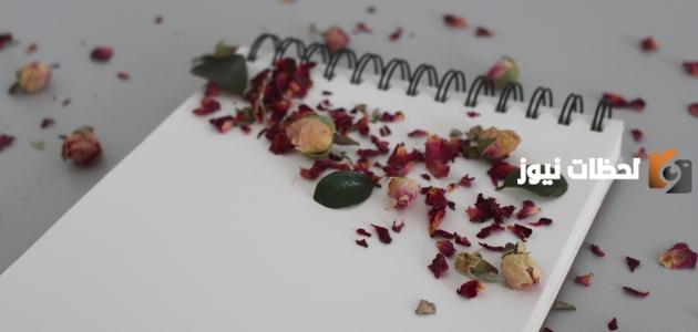 عبارات عن نهاية العام الدراسي