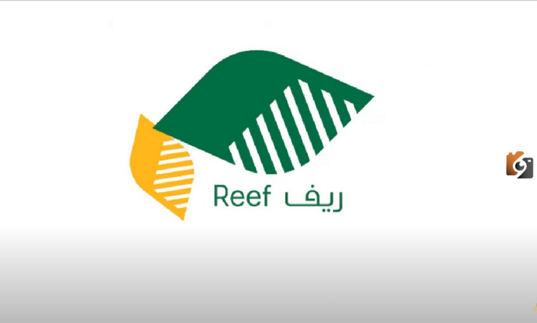 ما هي الفئات المستفيدة من دعم ريف؟ شروط ومتطلبات الحصول على دعم ريف 1445 وطريقة التقديم