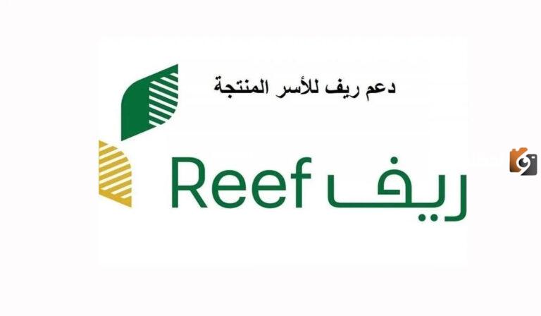 وزارة الزراعة السعودية توضح موعد دعم ريف وشروط الحصول على الدعم لتطوير الإنتاج | الأوراق المطلوبة