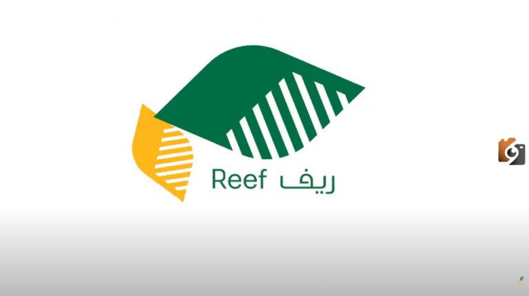 موعد نزول دعم ريف لشهر مارس وما هي شروط استحقاق الدعم وخطوات التسجيل في البرنامج 1447