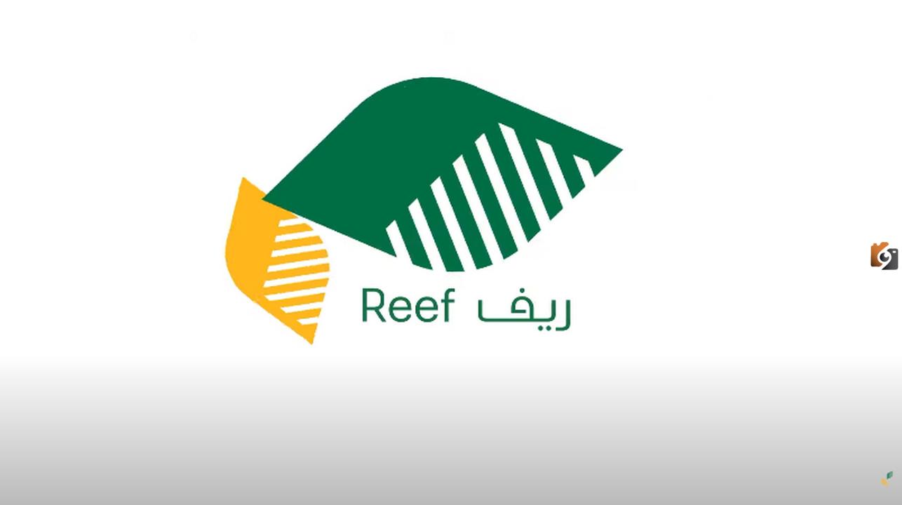 موعد نزول دعم ريف لشهر مارس  وما هي شروط استحقاق الدعم وخطوات التسجيل في البرنامج 1447