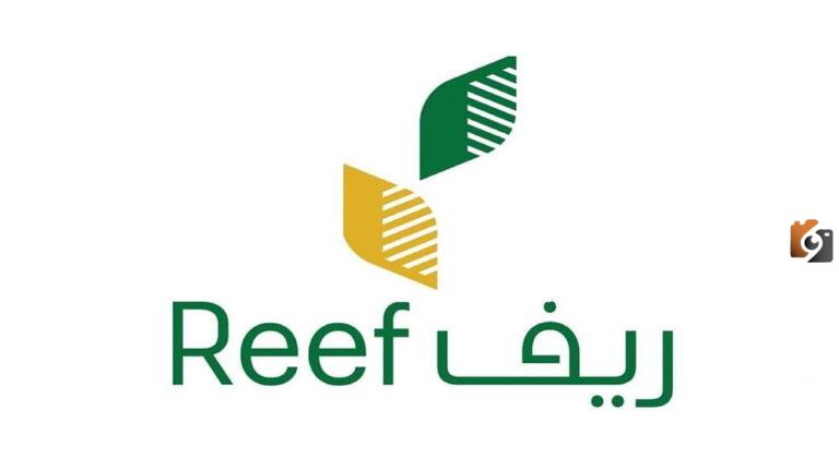 وزارة الزراعة السعودية توضح | رابط وخطوات الاستعلام عن دعم ريف وشروط الحصول على الدعم والفئات المستفيدة