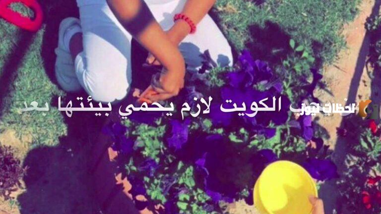 هذه أجمل وأجدد افكار ليوم التخضير في الكويت 2025 مميزة
