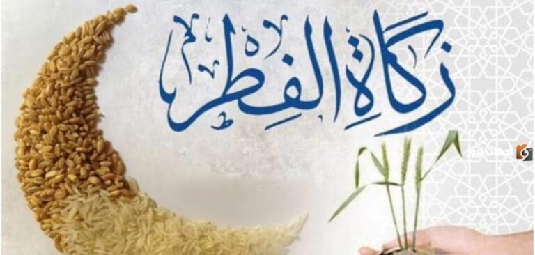 شروط زكاة الفطر .. الإفتاء توضح جميع المعلومات عن زكاة الفطر