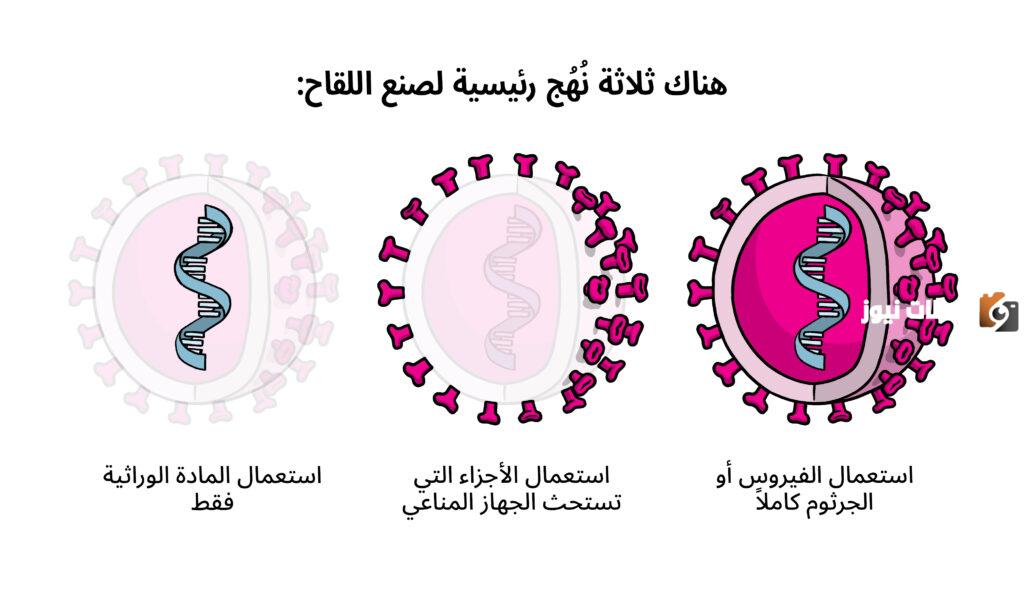 أنواع اللقاحات المطلوبة للسماح بأداء الفريضة