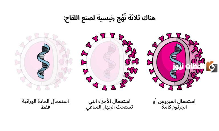 لأداء فريضة الحج من داخل السعودية .. أنواع اللقاحات المطلوبة للسماح بأداء الفريضة