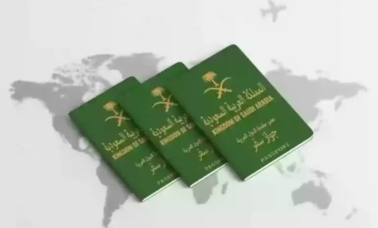 ما هي شروط وأوراق استخراج التأشيرة الإلكترونية؟ الجوازات توضح التفاصيل والمتطلبات كاملة
