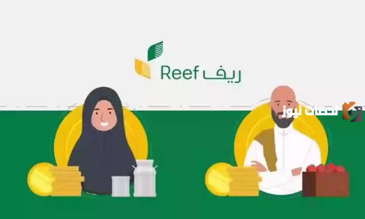 عبر هذا الرابط .. الاستعلام عن دعم ريف وشروط الحصول على الدعم