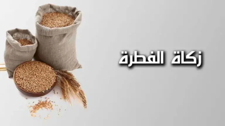مقدار زكاة الفطر من الأرز.. الحد الأدنى من زكاة عيد الفطر 2025 ـ 1447 في مصر والسعودية
