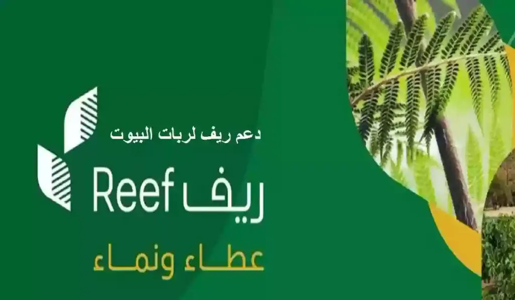 الدعم المالي المقدم من ريف