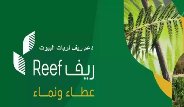الدعم المالي المقدم من ريف وقيمة دعم مشروع تجفيف النعناع.. مسؤولو البرنامج يوضحون التفاصيل