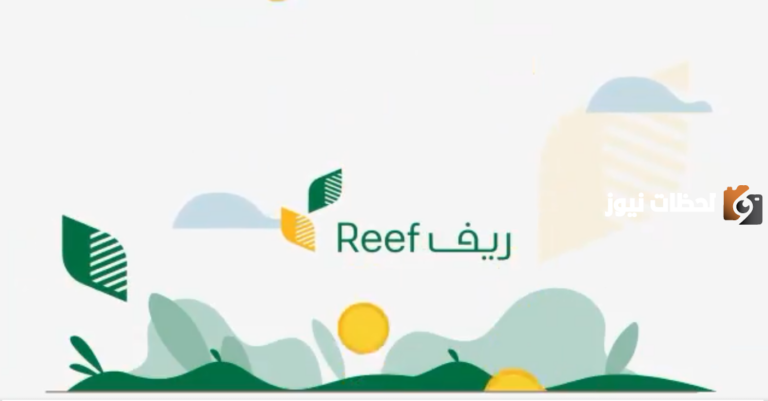 خطوات الاستعلام عن دعم العسل في ريف .. الشروط والمتطلبات كاملة
