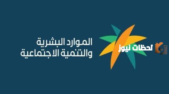 دعم الضمان المطور