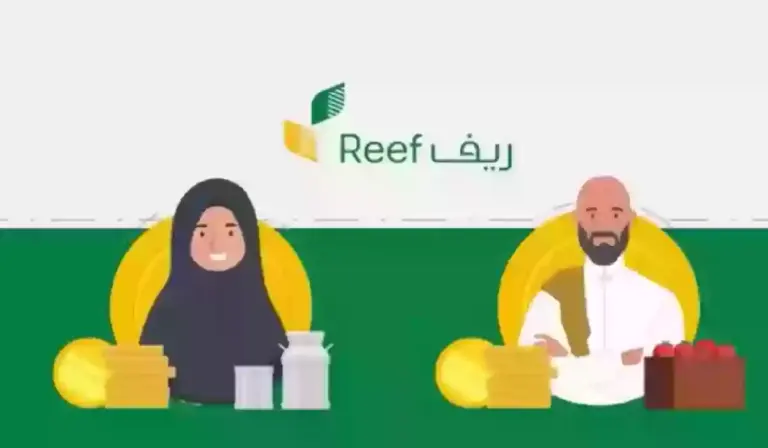 البرنامج يوضح الشروط .. متطلبات دعم ريف لربات البيوت وخطوات التسجيل في الدعم