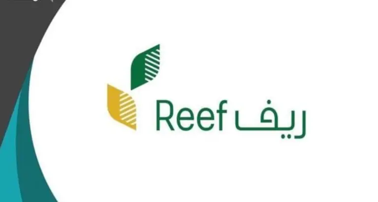 التسجيل في ريف وشروط استحقاق الدعم .. الرابط بخطوات التسجيل في ريف بالتفصيل