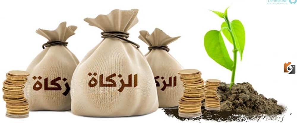 قيمة زكاة الفطر في السعودية لهذا العام وهل يجوز إخراجها مال؟ التفاصيل كاملة