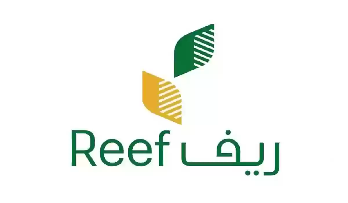 شروط استحقاق دعم ريف .. وزارة المياه والزراعة توضح الشروط الأساسية ومتطلبات الحصول على الدعم