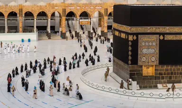 كيف أعرف أني مقبول؟ الاستعلام عن طلب تأشيرة العمرة برقم الجواز عبر منصة التأشيرات 1447