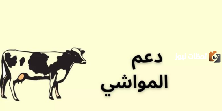 كيف احصل على دعم المواشي؟ وزارة الزراعة توضح شروط التسجيل في دعم المواشي