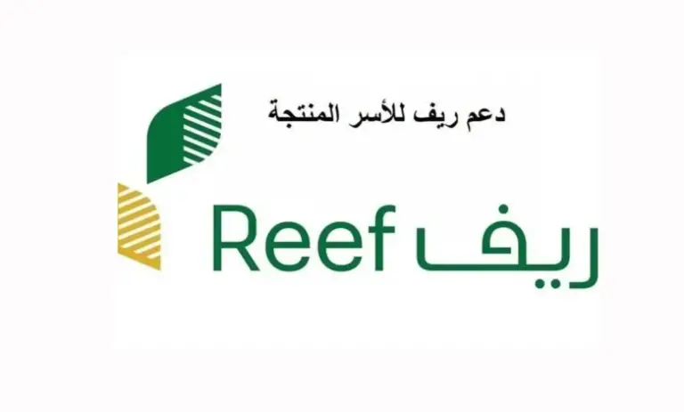هل يجوز الحصول على دعم ريف بدون مشروع؟ المنصة توضح الشروط والأوراق وطريقة التقديم