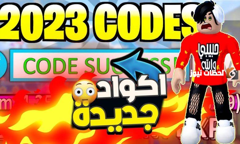 أجمل كودات بلوكس فروت