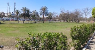 أخبار مصر: غدًا طقس مائل للحرارة مع توقعات بسقوط أمطار، ودرجة الحرارة العظمى في القاهرة تصل إلى 26.