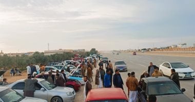 اكتشف أكثر أنواع مركبات النقل ترخيصًا في مارس 2025