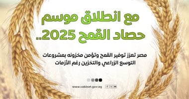 الحكومة تعرض بالإنفوجراف جهود تعزيز إنتاج القمح المحلي وتأمين مخزوناته