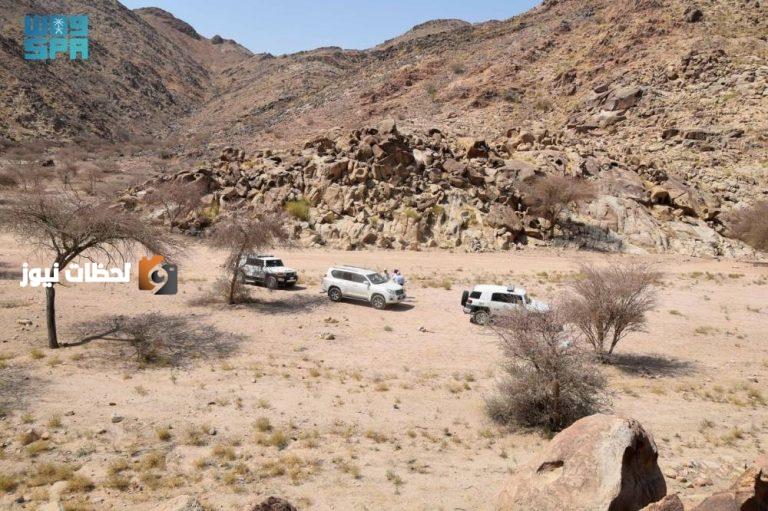 بحث حول استراتيجيات الوقاية من حرائق الغابات