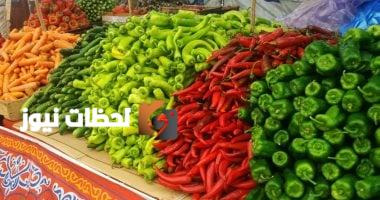 تحديث أسعار الخضروات والفاكهة ليوم الثلاثاء 6 مايو 2025 في منافذ وزارة التموين