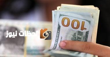 تحديث: سعر الدولار مقابل الجنيه المصري اليوم الثلاثاء 5 يونيو 2025